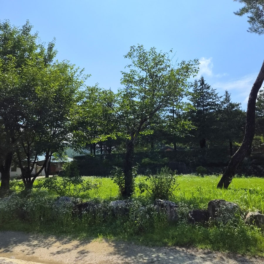 수림밸리펜션 사진 1
