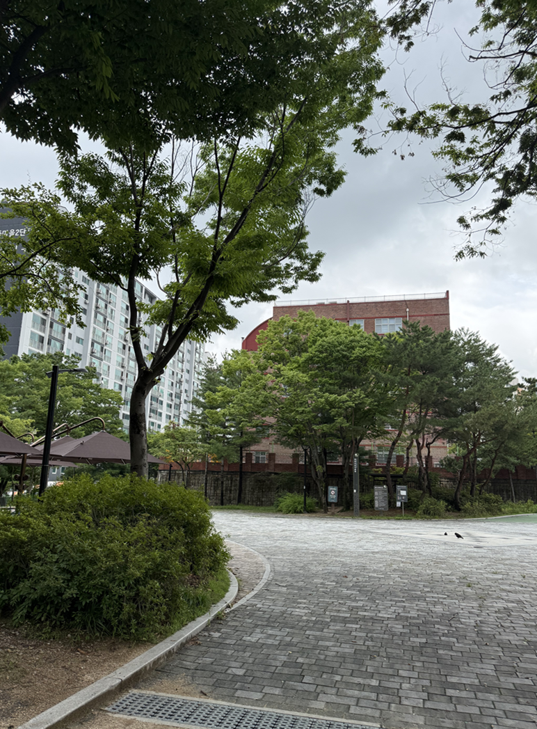 오라면 사진 4