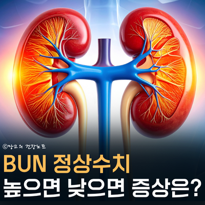 BUN 수치 높으면 낮으면 증상 원인ㅣ정상수치 낮추는법