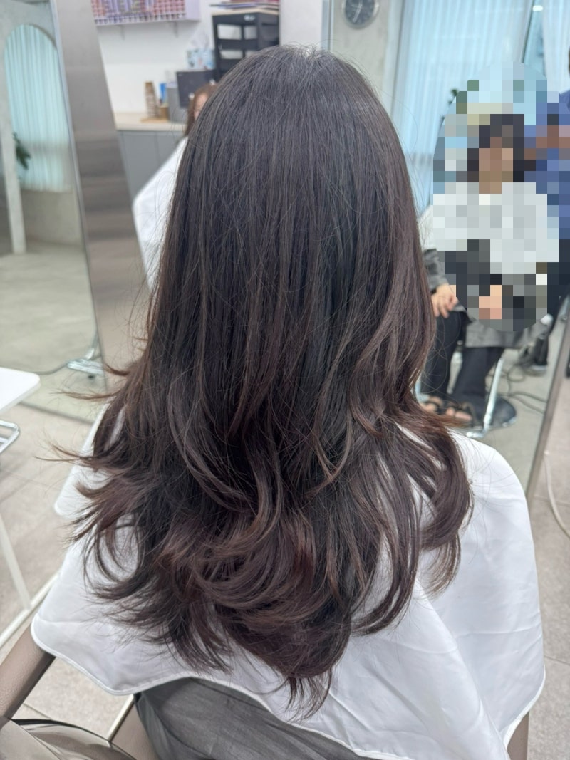 김포 고촌 미용실 쿠르헤어, 극손상모 복구열펌 레이어드 CS펌 후기