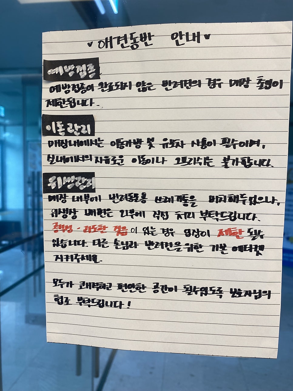 아침7시 사진 4