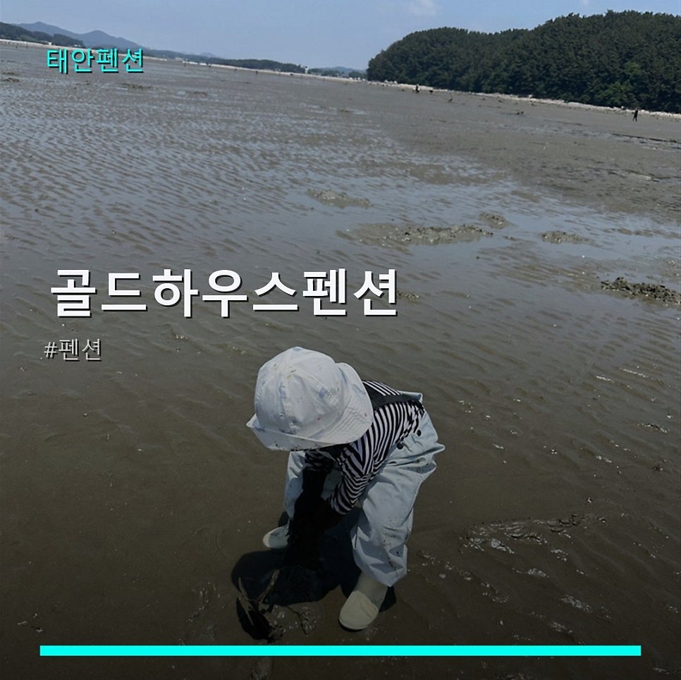 골드하우스펜션 사진 1