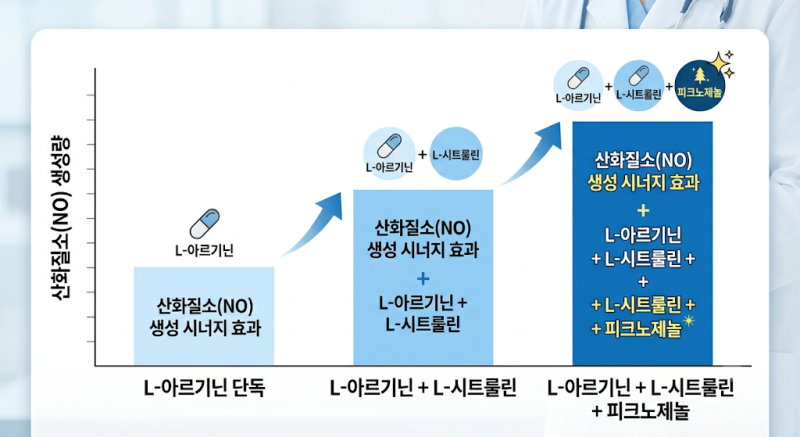 L-아르기닌 효능과 부작용 완벽 정리! | 피로회복·혈관 확장·운동 펌핑을 위한 공복 복용법 ....