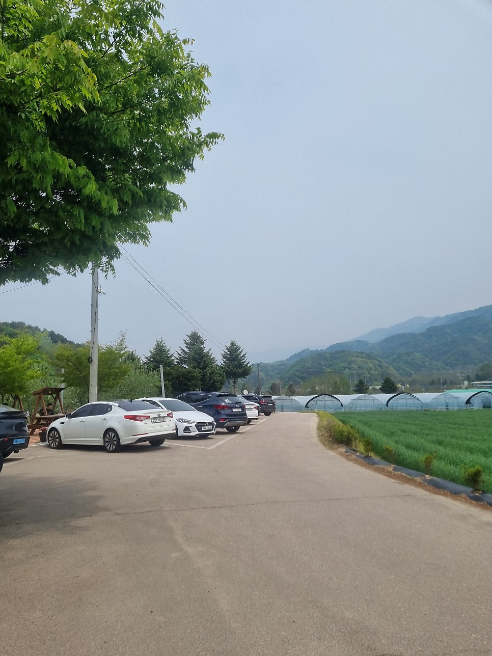 양지말뫼막국수 사진 3