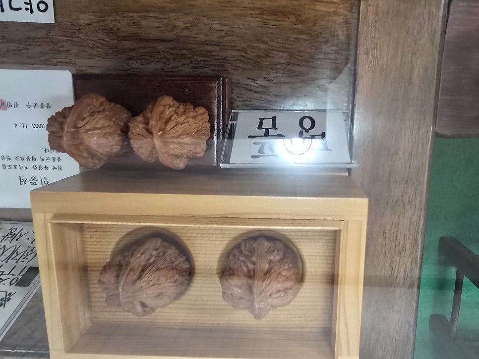 귀족호도박물관 사진 5