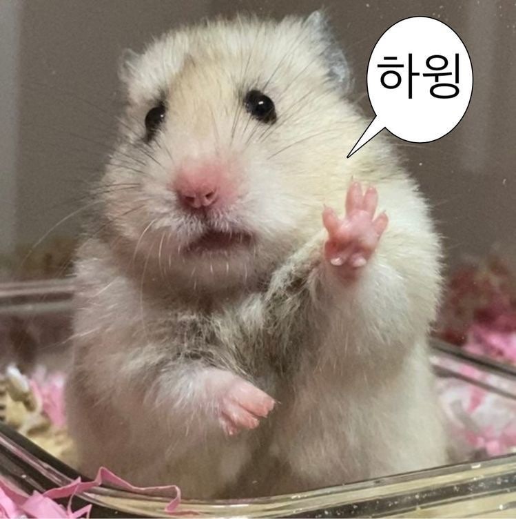 풍양 사진 1