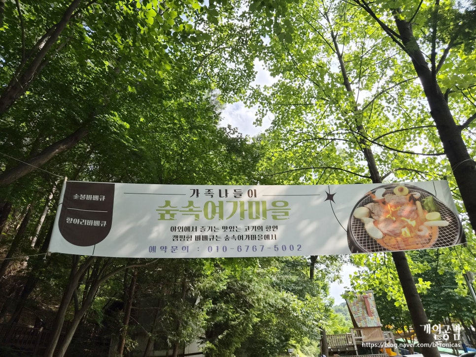자연나라숲속여가마을 사진 2