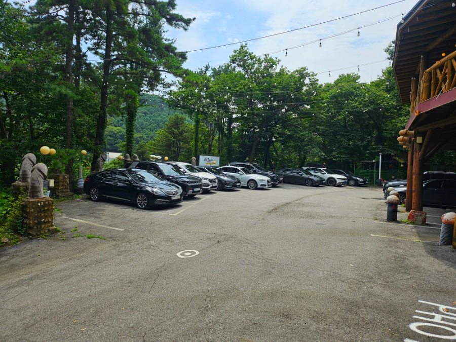 들무새 사진 2