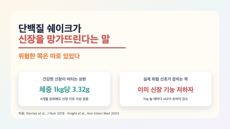 단백질 쉐이크가 신장을 망가뜨린다는 말, 위험한 쪽은 따로 있다