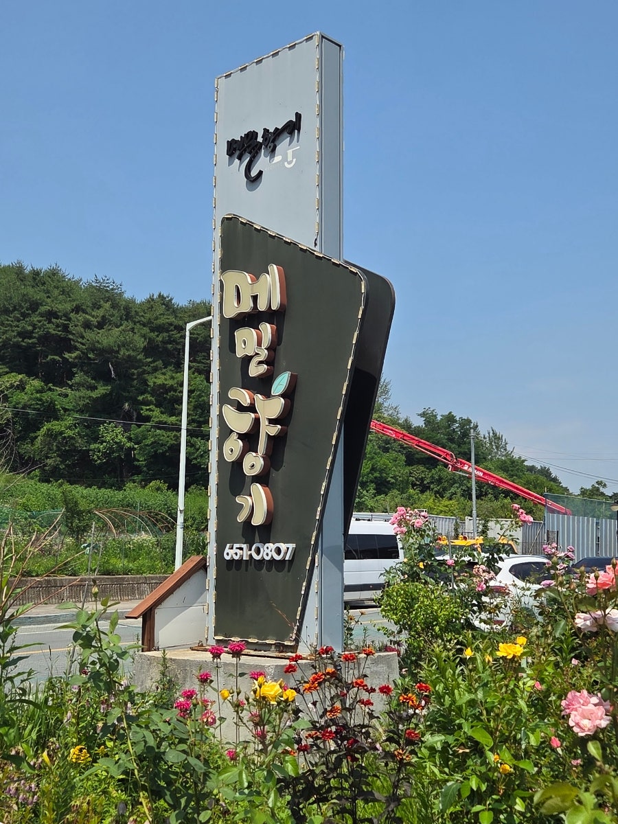 메밀향기 사진 1