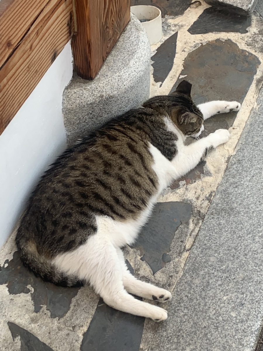 만년닭강정 한옥마을점 사진 2