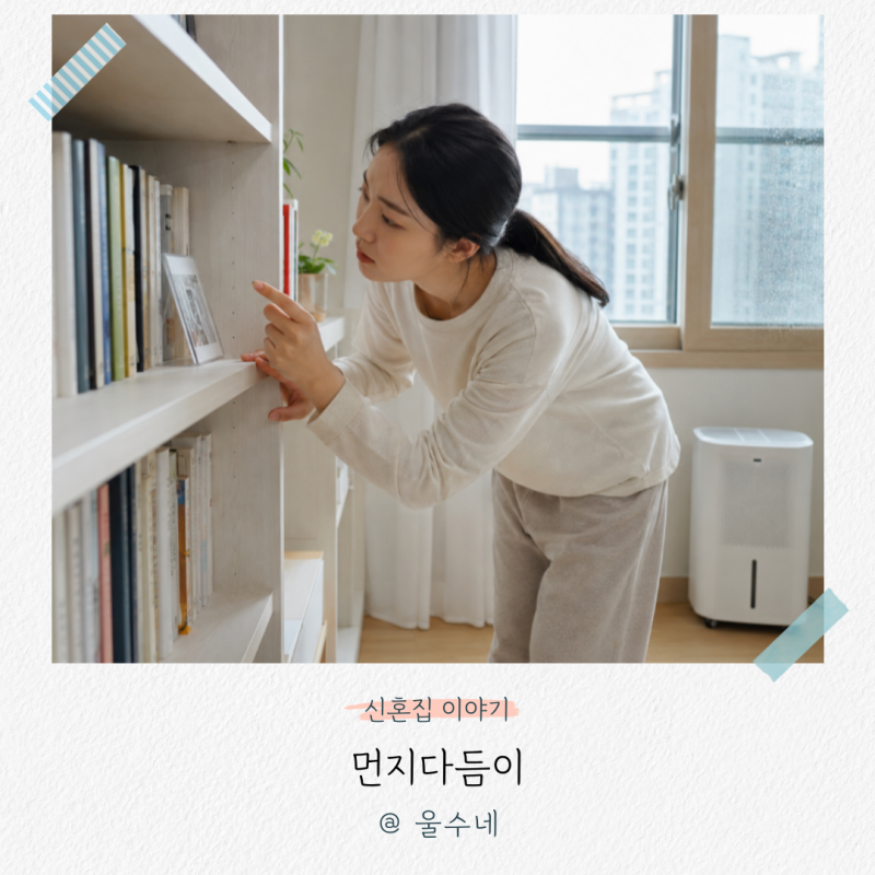 “깨끗한 집에도 생긴다고?” 먼지다듬이 정체와 습도 잡는 퇴치법