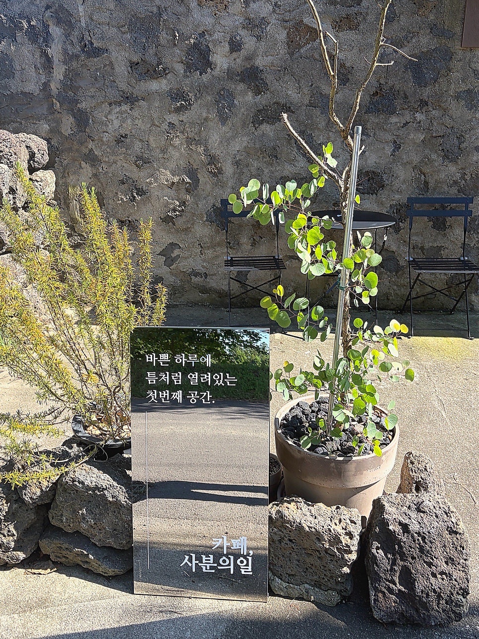 카페사분의일 사진 4