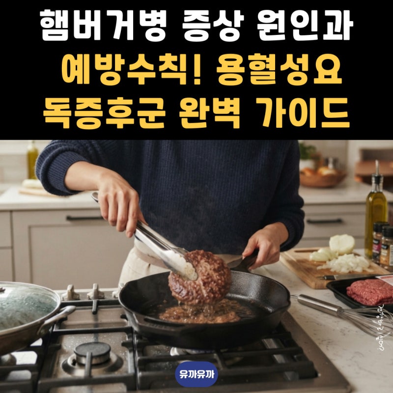 햄버거병 증상 원인과 예방수칙! 용혈성요독증후군 완벽 가이드