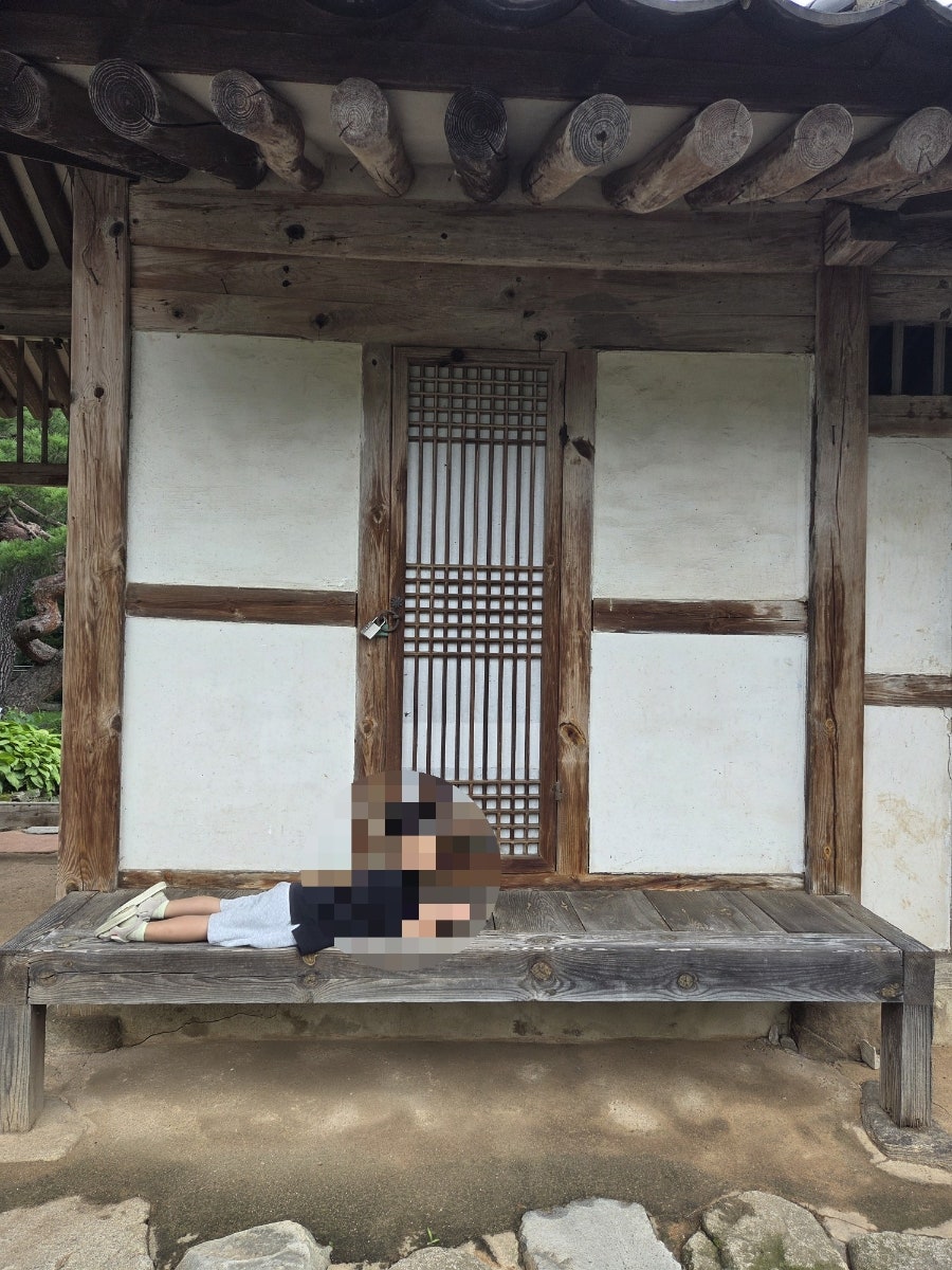 아날로그 사진 6