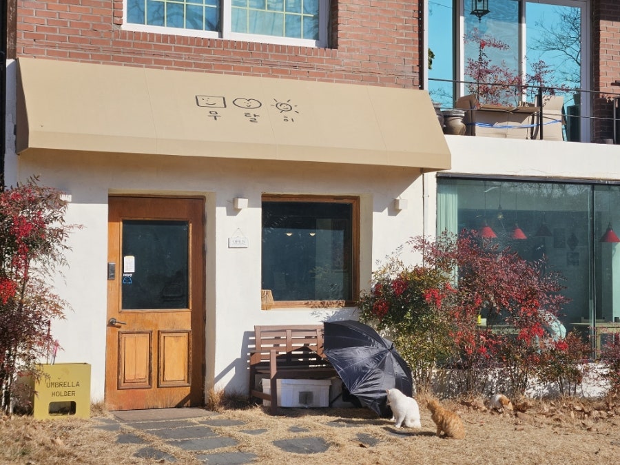 무탈히 사진 2