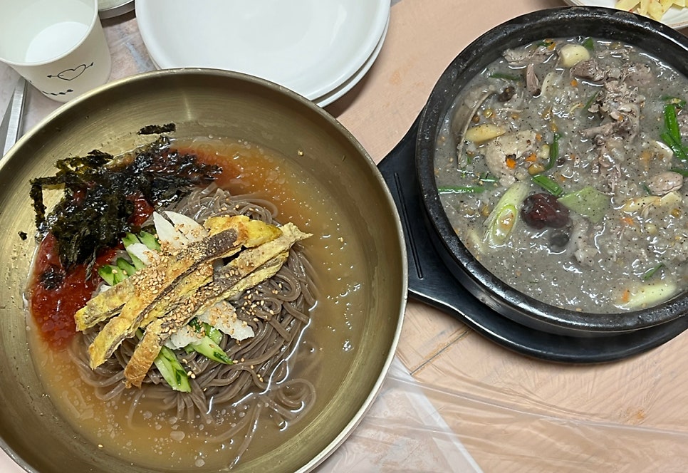 은행나무 사진 1