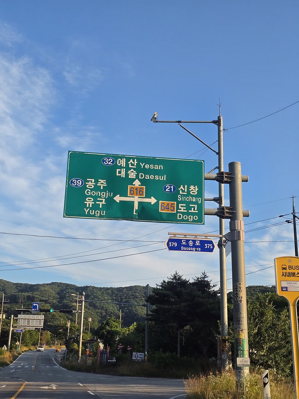 세계꽃식물원 사진 6