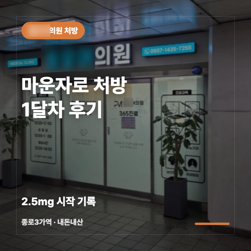 마운자로 1달차 후기 | 종로 성지 3kg 감량 솔직 기록