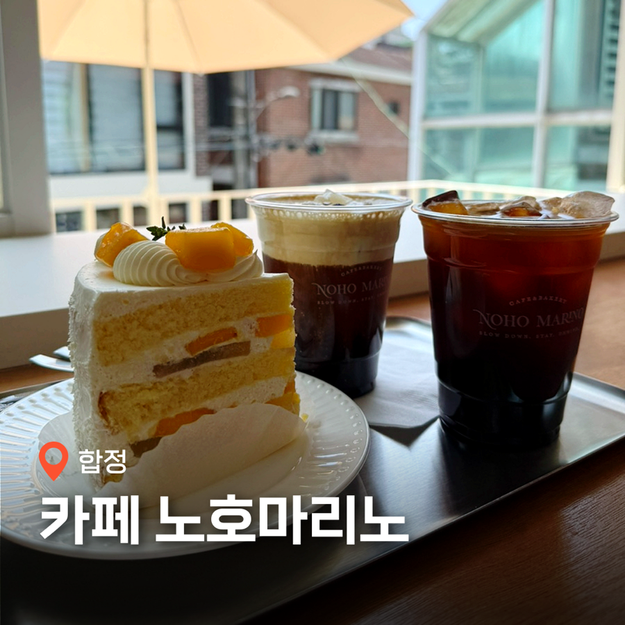 노호마리노 사진 1