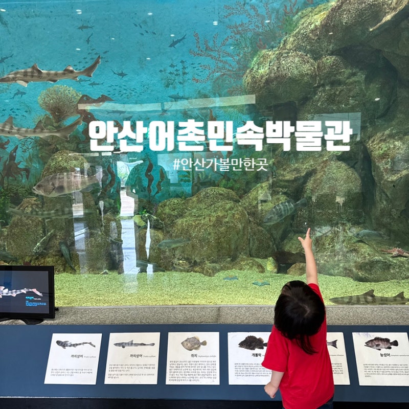 안산 아이와 가볼만한곳 실내나들이 추천ㅣ안산어촌민속박물관 다녀온 솔직 후기