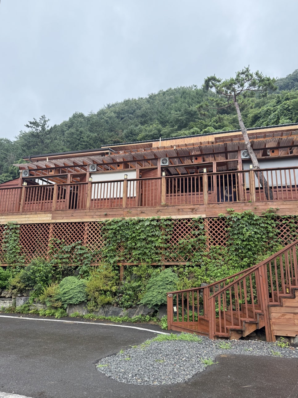 모리의숲 사진 2
