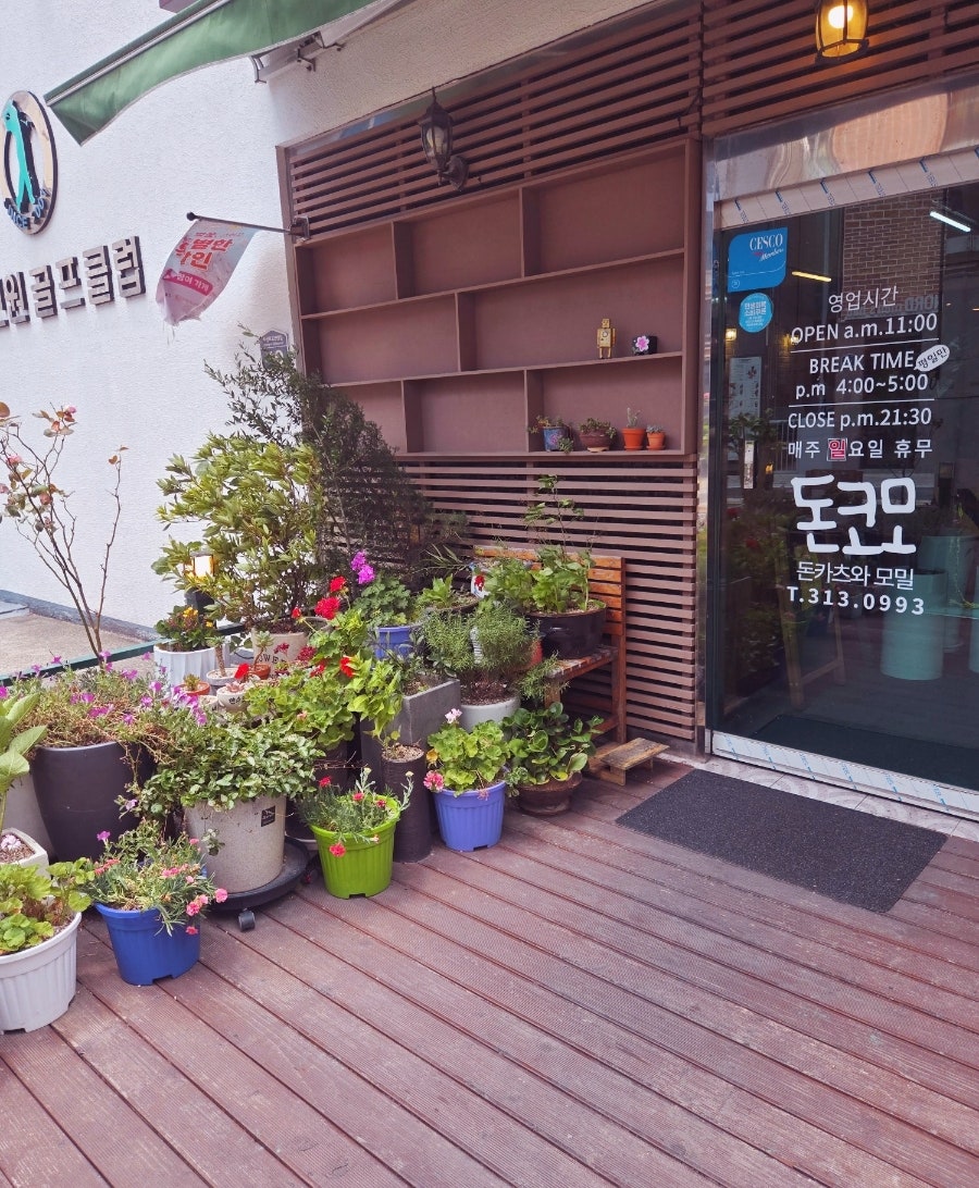 돈코모 사진 3