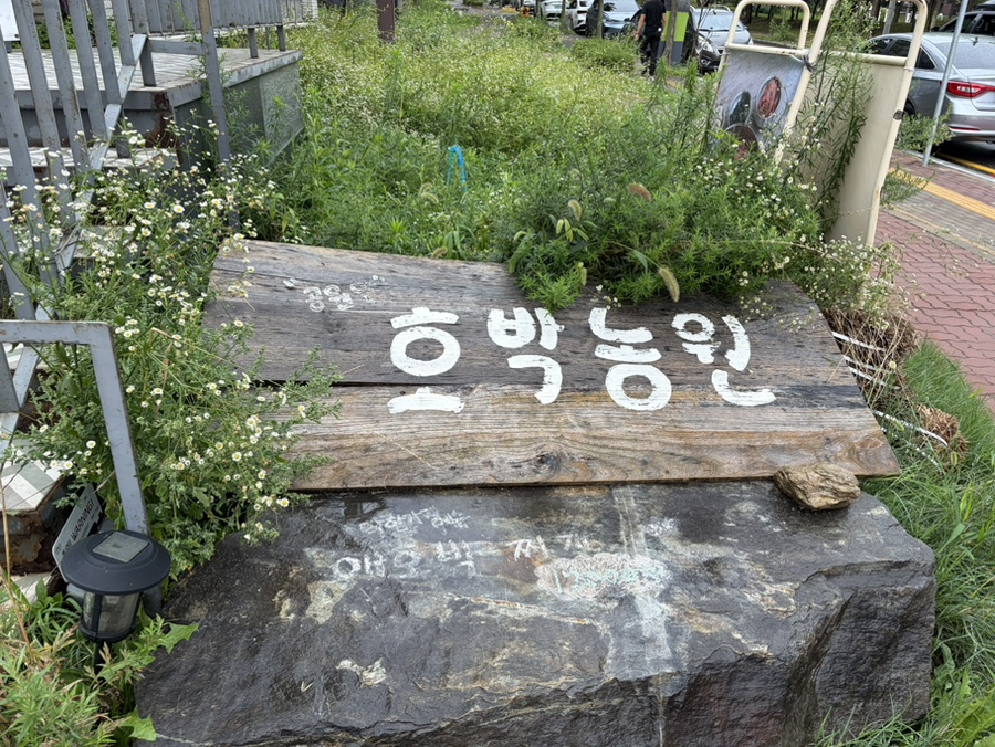 공원앞호박농원 사진 2