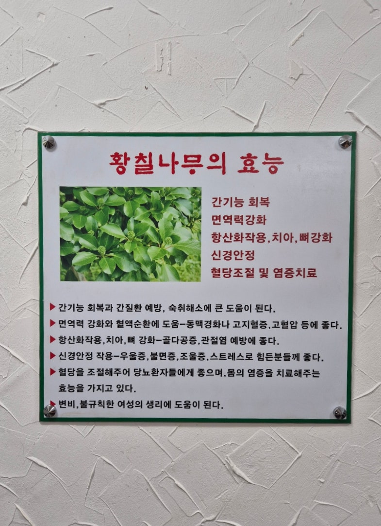 황칠족발보쌈 사진 5