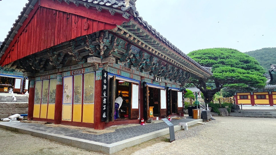소담 사진 2