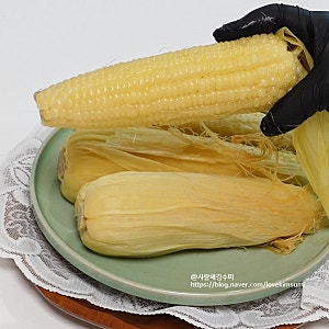 압력밥솥 옥수수 맛있게 삶는법 뉴슈가 비율 옥수수 삶는시간