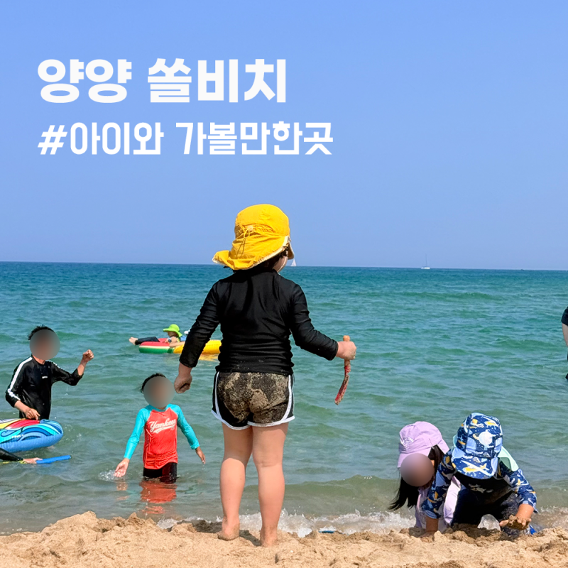 [양양 가족여행] 쏠비치 양양 후기｜아이와 가볼만한곳 프라이빗 비치 완전 추천
