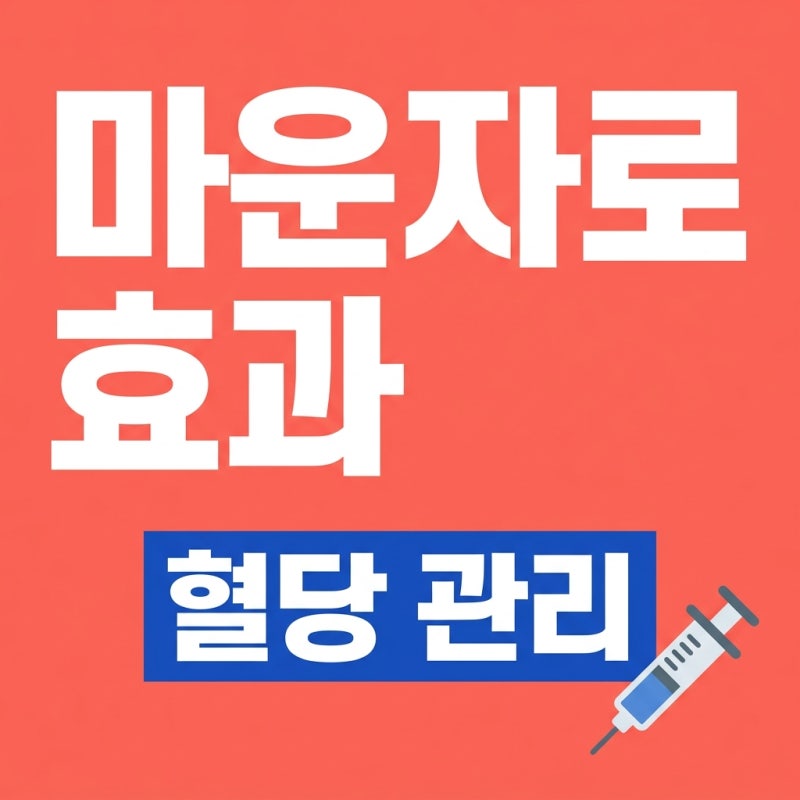 마운자로와 혈당 관리 효과 및 부작용 2026년 최신 총정리