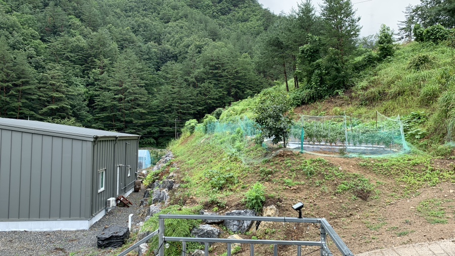 계곡물소리펜션 사진 3