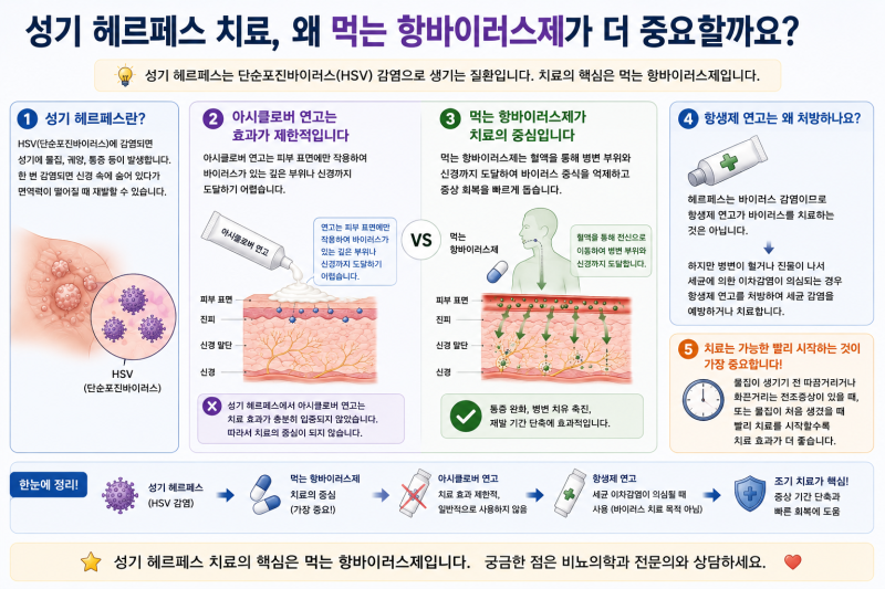 성기 헤르페스, 왜 먹는 약만 처방할까요?｜아시클로버 연고보다 중요한 치료