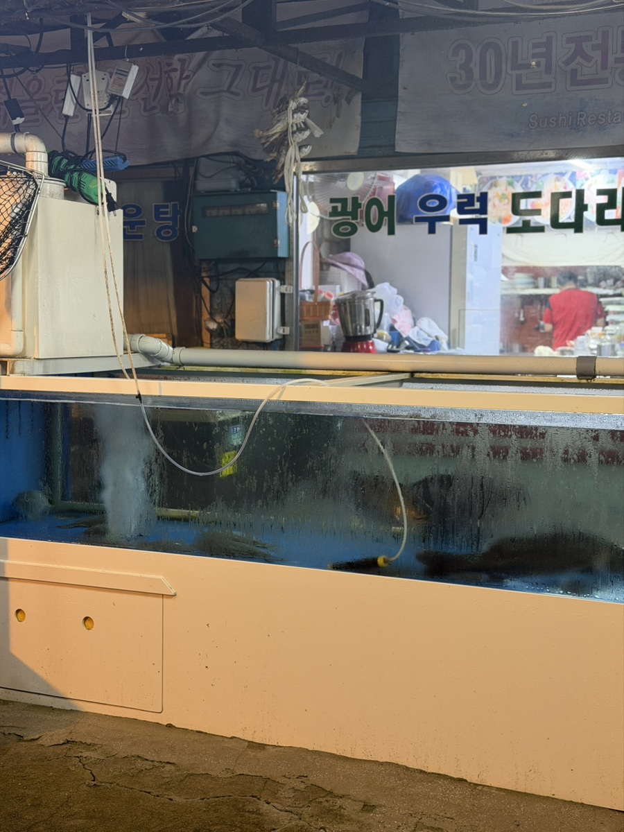 목포횟집 사진 3