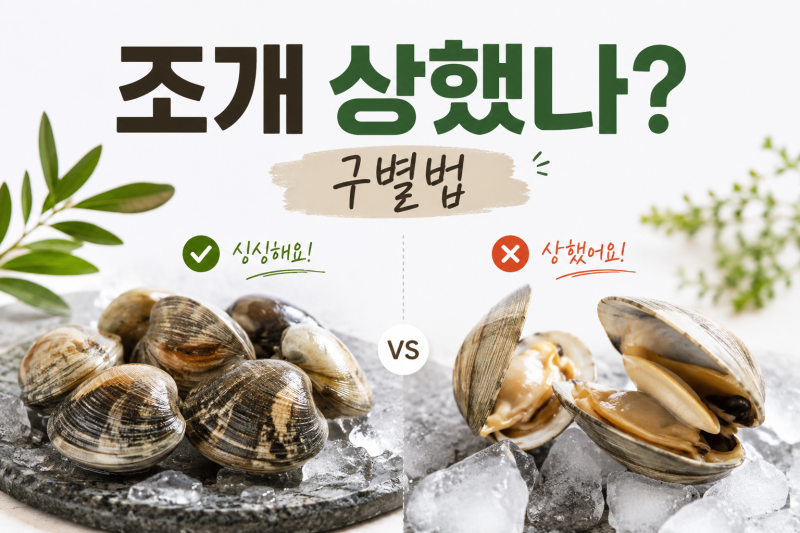조개 상했는지 확인하는 방법! 먹어도 되는 조개 구별법