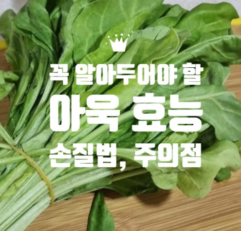 아욱효능 손질법 레시피 부작용 총정리