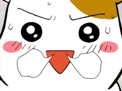 카포 사진 2