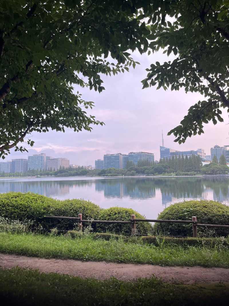 일산 호수공원 조깅코스 일산호수공원 3 주차장 이용후기