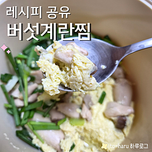 10분이면 뚝딱 전자레인지로 만드는 계란찜 물양으로 계란찜 부드러운 정도 조절 | 칼로볼 계....