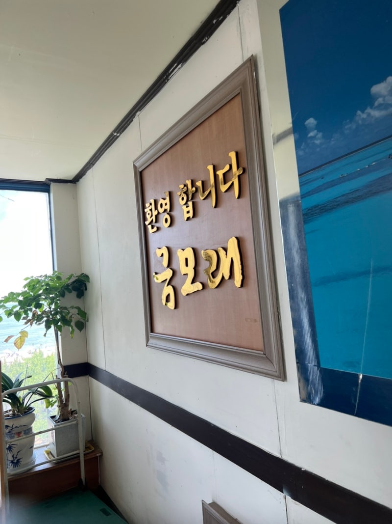 [강원 삼척] 삼척 해수욕장 바로 앞 숙소｜주말 9만원 금모래민박 솔직후기