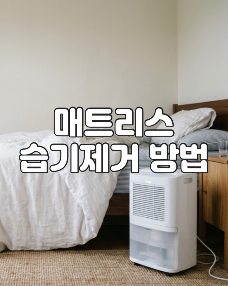 매트리스 습기 제거 방법, 여름철 눅눅함 줄이는 관리 루틴