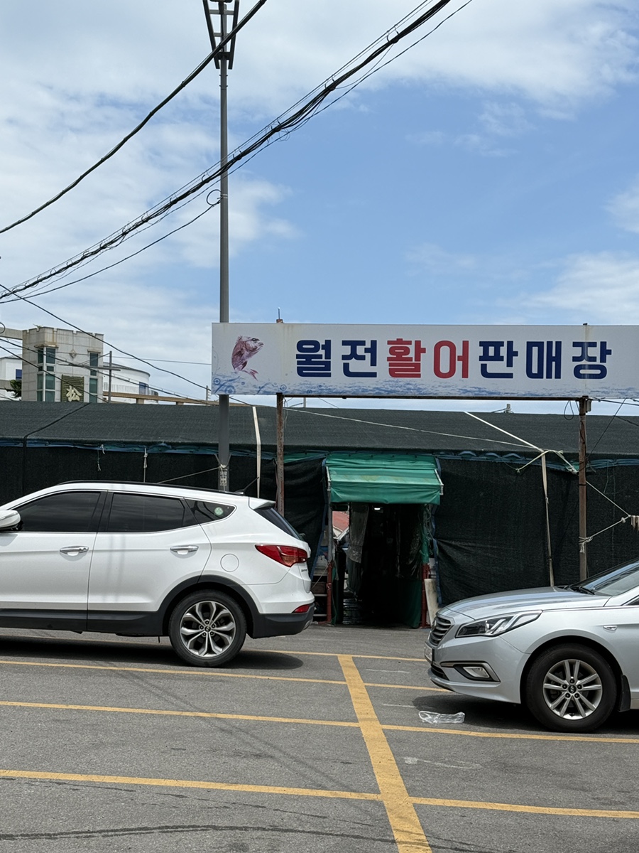 뚱아저씨네 사진 4