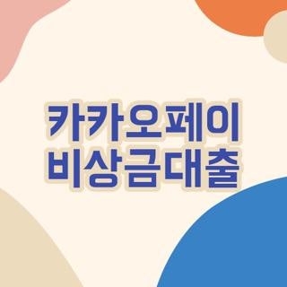 카카오페이 비상금대출 직접 신청해보고 체감한 조건 한도 거절 사유 현실 꿀팁