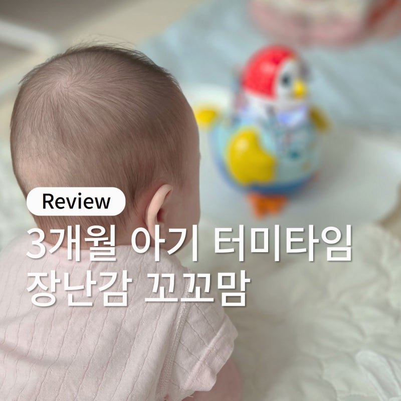 3개월 아기 터미타임 장난감 100일 선물로 받은 꼬꼬맘 쌍둥이 사용 후기