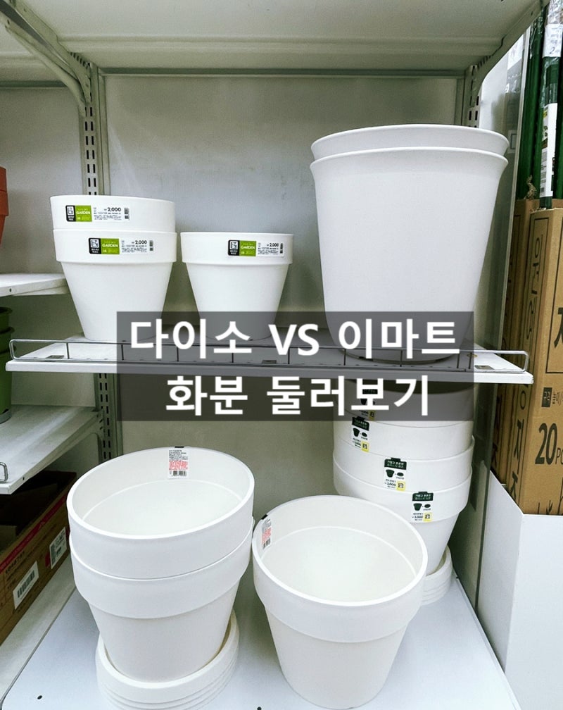 가성비 분갈이 화분 | 다이소 vs 이마트 제품 종류 정리