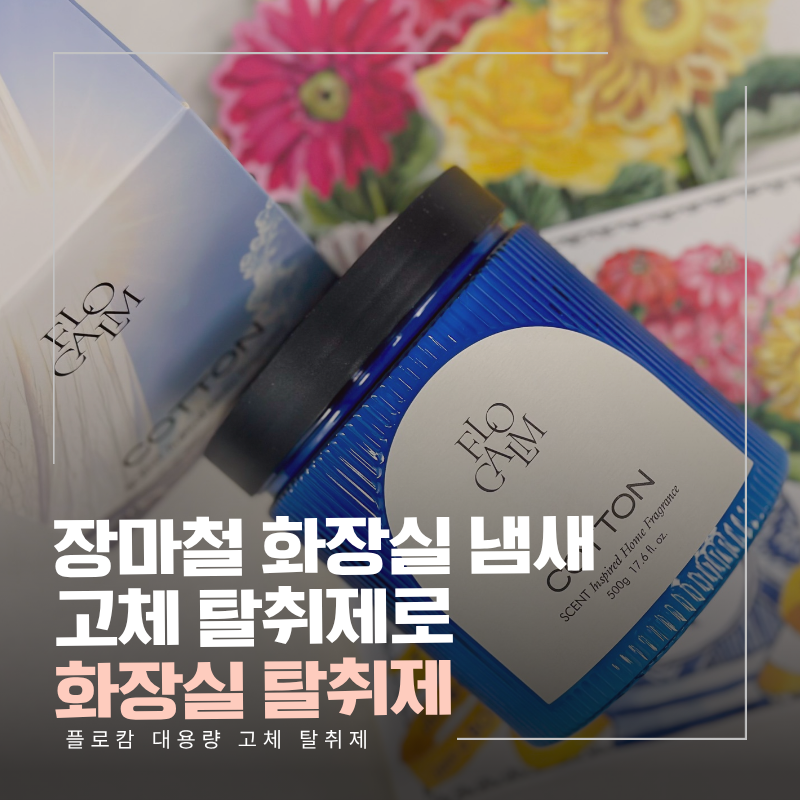 화장실 탈취제, 플로캄 대용량 고체 탈취제로 장마철 화장실 냄새 고민 끝!