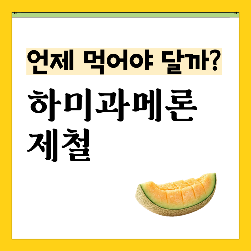 하미과메론 언제 먹어야 가장 달까? 제철·당도·노을메론 차이까지 총정리