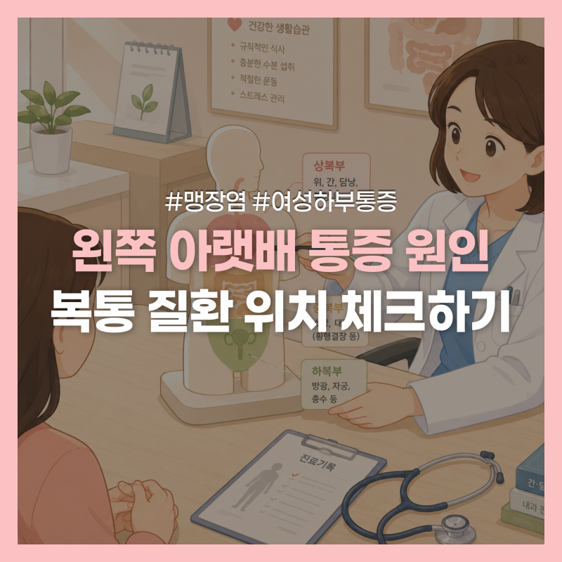 왼쪽 아랫배 콕콕 쑤실 때:: 복통 위치로 알아보는 의심 원인 6가지